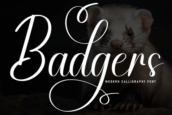 Badgers: A Font That Elevates Branding with Elegance